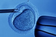 fertilizacion-in-vitro