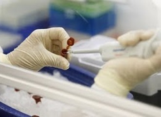 vacuna gripe A