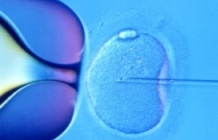 fertilización2