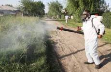 fumigación2