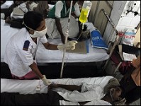 malaria