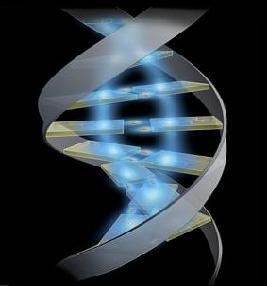 genetica-211