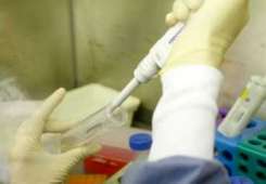 20 de julio de 2010.Recinto Ciencias Medicas, UPR, Rio Piedras, Puerto Rico. Maestros de escuelas participan de un internado , ofrecido en el recinto de ciencias medicas, en el laboratorio de investigaciones de Virologia. Ademas se investiga sobre el dengue y VIH sida. Tecnologo medico, Petraleigh Pantoja, maneja unas muestras de lavado rectal; de los monos infectados con VIH sida. ( Para Primera Hora / Rafael Pichardo).