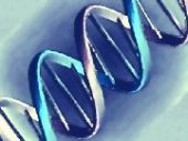 genetica