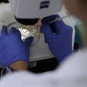 laboratorio