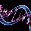 Genetics_wallp_Tw