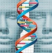 genes del rostro