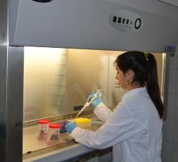 Laboratorio-rabia
