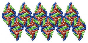 virus dengue