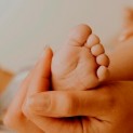 bebe