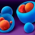 nanocapsulas