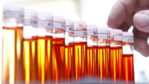 Test tubes, test glass, sample, red, yellow liquid. (CTK Photo/Rene Fluger)
