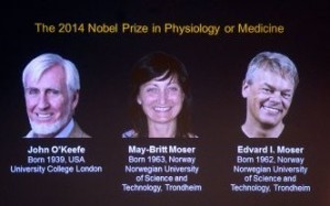 Nobel medicina 2014