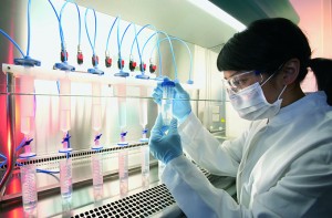 laboratorio (1)