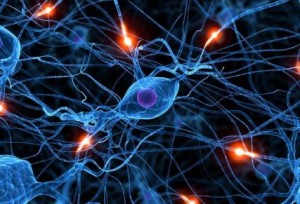 proteina-cerebro
