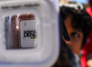140924235554_dengue_624x351_epa
