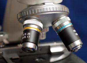 microscopio 1