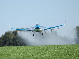 Avioneta