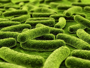 tuberculosis-1