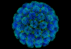 Symian_virus