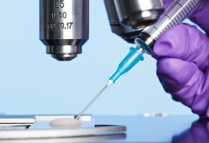 laboratorio (4)