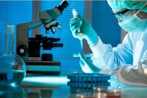 investigacion