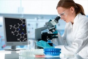 investigacion