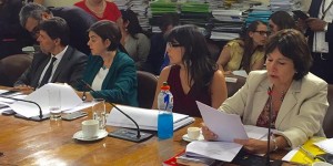 DESPENALIZACION chile