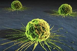 celula-tumor