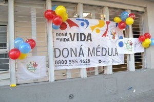 donacion-medula-300x200
