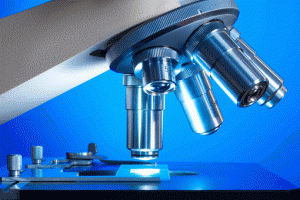 investigacion