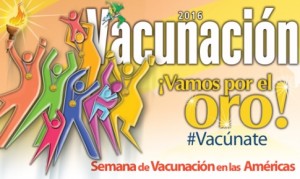 sva-vamos-por-el-oro