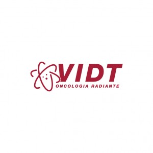 Vidt_Logo-04