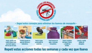 semanas-accion-mosquitos