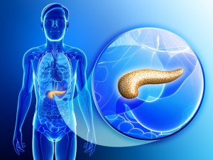 pancreasartificial