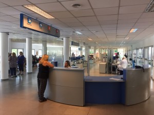 IMG_2288 2