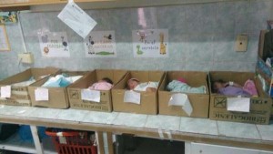 bebes en cajas de cárton