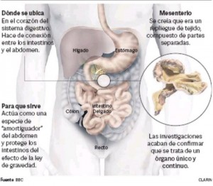 mesetario