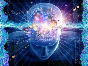 cerebro-21-300x225