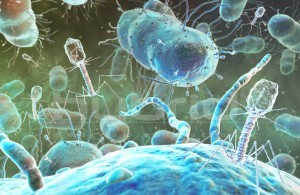 bacteriofagos