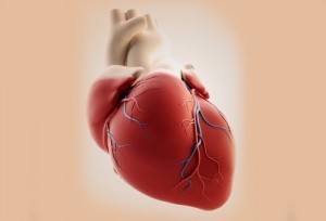 corazon
