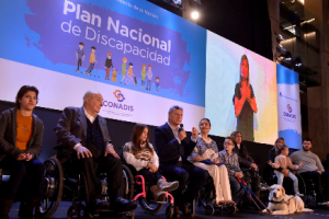 plandiscapacidad