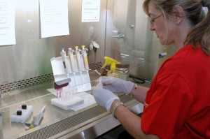 laboratorio