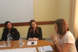 reunion entre pares de salud