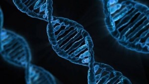 DNA-kQuH--1240x698@abc