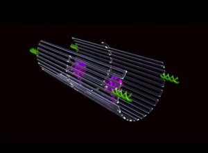 Salud. Nanorobots buscan y destruyen tumores. Universidad del Estado de Arizona