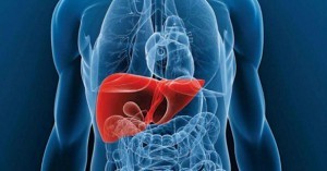Carcinomahepatocelular