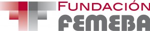 fundFEM