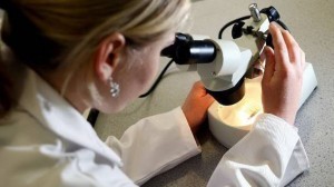 investigacion