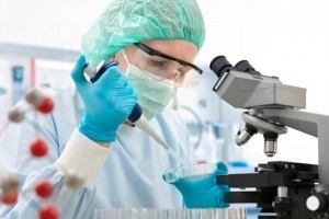 investigacion